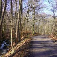 Weg im Wurmbachtal
