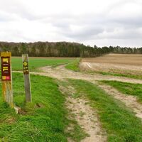 Inval_chemin2©SommeTourisme-MTestu