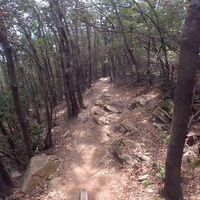 Napoleon-Trail steinige Stelle