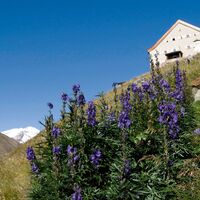 Eisenhut am Hochjoch Hospiz