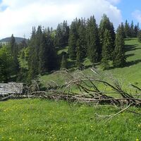 Aufstieg bei der Jagdhütte