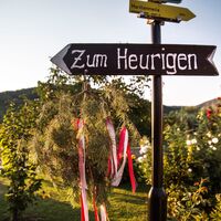 Zum Heurigen in Rossatz-Arnsdorf