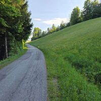 Abstieg, oberhalb Gehöft Bruck