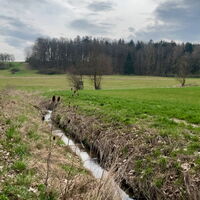 Rundtour Berkach