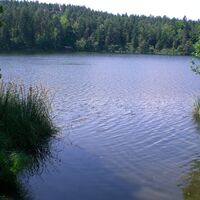 Saissersee