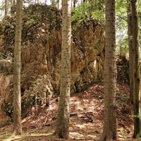 Beeindruckende Felsformationen im Wald