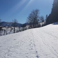 Kamm der Wildalpe mit der Sulzriegelalm