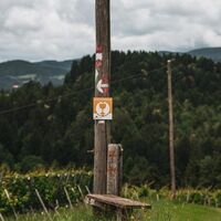 Markierung