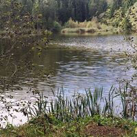 Der Idyllische Tatschnig Teich