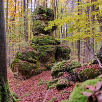 Wanderweg 20