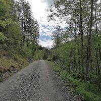 Der Güterweg im Mellental