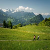 Narzissenwanderung