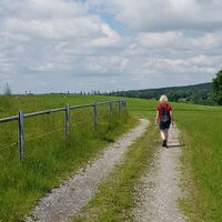 Feldweg vorbei an einer Kuhweide