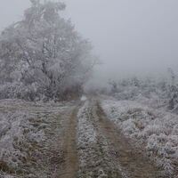 zwischen Oberer Lüß und Beginn Windstallgraben