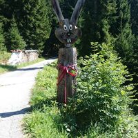 "Wildschönauer" Hase
