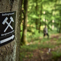Unterwegs auf dem Sellinghauser Bergmannspfad