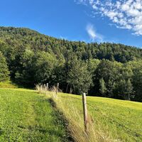 Auf dem Weg zum Hittisberg
