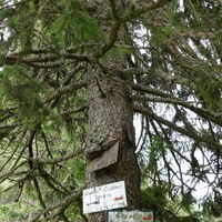 Wegkreuzung auf der Kampalpe