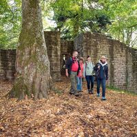 Naturpark-Augenblick-Runde Holzbronn_Ruine Waldeck