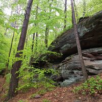 Hinterer Rappenkopf am Rodalber Felsenwanderweg