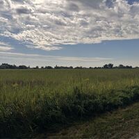 Bike Buddies Burgenland