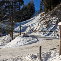 Campitello - Pian ©Archivio APT Val di Fassa