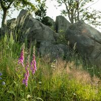 Glöckner am Rennsteig