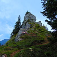 Niederalpl - Hohe Veitsch - Seewiesen