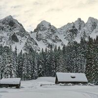 Mödringalm