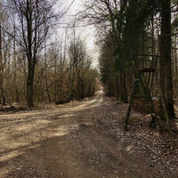 Waldkreuzung