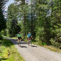 Gravelbike-Tour im Wald