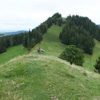 Weg vor Guggershorn - Alpenpanoramaweg Etappe 18