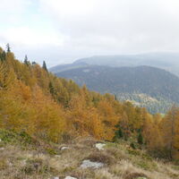 je weiter wir absteigen, desto mehr verzieht sich der Hochnebel, die Gipfel lassen sich jedoch nicht mehr blicken