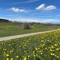 Allgäuidylle im Frühling