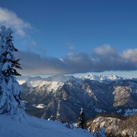 Oberhalb der Baumgrenze eröffnet sich der Blick auf Črna Prst (1844 m) und im Hintergrund den Triglav (2864 m).