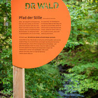 Pfad der Stille durch den idyllischen Roten Grund