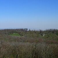 Wilhelmswarte am Anninger