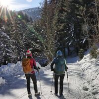 Wir wandern nach Wald am Schoberpass hinunter