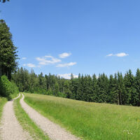 Durchgehend gemütliche Wanderwege