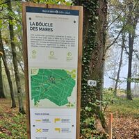 Rando Die Schleife der Tümpel im Crécy-Wald
