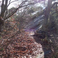 bei der Buschandlwand