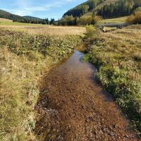 Mixnitzbach_Naturpark Almenland_Oststeiermark