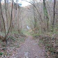 wieder runter zur Schwechat