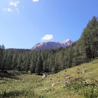 Die Ebnesangeralm mit der Kölblplan und dem Planspitz im Hintergrund (Blick Richtung Südwesten)