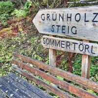 Einstieg Grünholzsteig