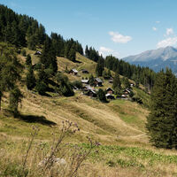Mernik-Alm