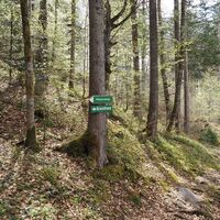 kräuterrundweg in gößl_img_80819377