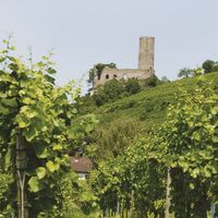 Tourismus Service Bergstrasse Burgensteig Schriesheim Burg Ludwig Maerz