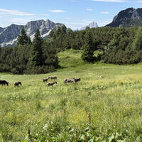 A164 Rifugio Piedro Fabiana - Nassfeld
