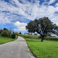 Papst-Franziskus Pilgerweg, Gemeinde Kumberg, Oststeiermark